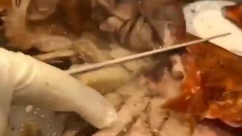 烤羊腿的爆料方法视频,视频揭秘独家爆料烹饪技巧 第1张 烤羊腿的爆料方法视频,视频揭秘独家爆料烹饪技巧 第1张