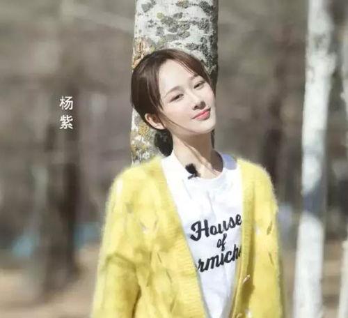 娱乐圈爆料客杨紫,娱乐圈爆料客的蜕变之路 第3张 娱乐圈爆料客杨紫,娱乐圈爆料客的蜕变之路 第3张